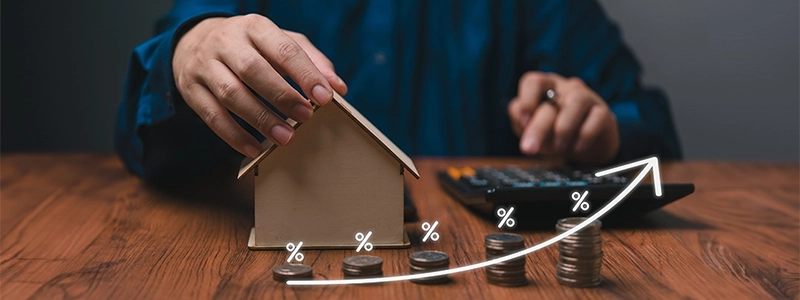 Dream Project Taloja Growth